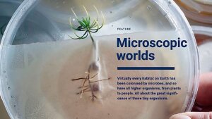 cover microscopic worlds
