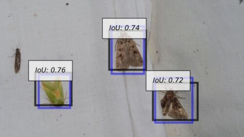 Moth scanner for automatized species identification.