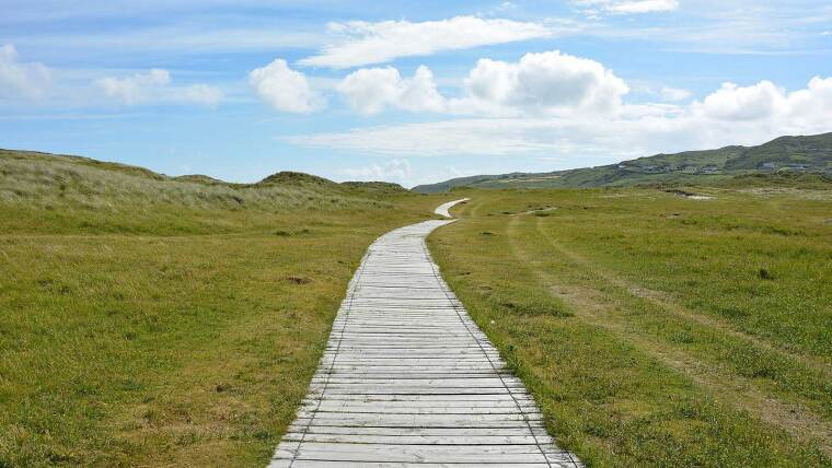 A plank path leads across a large meadow without a destination. Symbolic image for the 404 page.