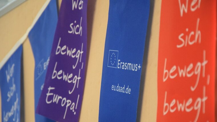 Erasmus flags
