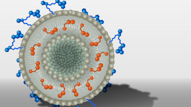 Schematic drawing: The liposome is carrying molecules of active ingredient (orange) and dye (blue).