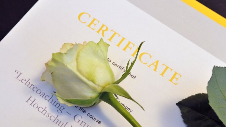 Certificate and a rose