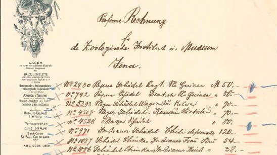 Proforma-Rechnung (Auszug) der Firma Umlauff vom 14.1.1908 an Ernst Haeckel.