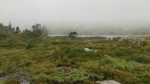 Blick in nebliger Landschaft in Norwegen.
