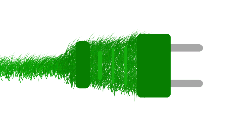 Ein grünes Stromkabel aus Gras.