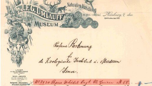Ausschnitt des Titelblatts der Publikation "Ernst Haeckels koloniale Schädel"