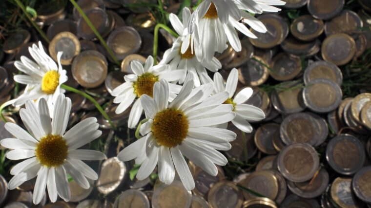 Aus Euromünzen wachsen neue Blumen.