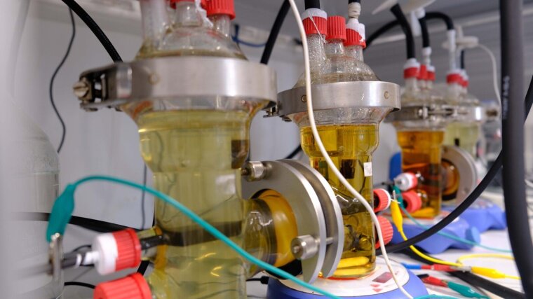 In Mini-Bioreaktoren kontrollieren die Forschenden die Bedingungen der mikrobiellen Elektrosynthese.