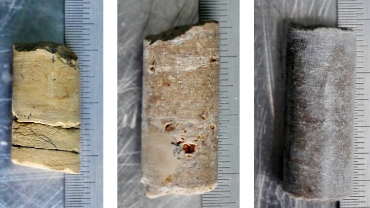 Rock cores used for the investigation.