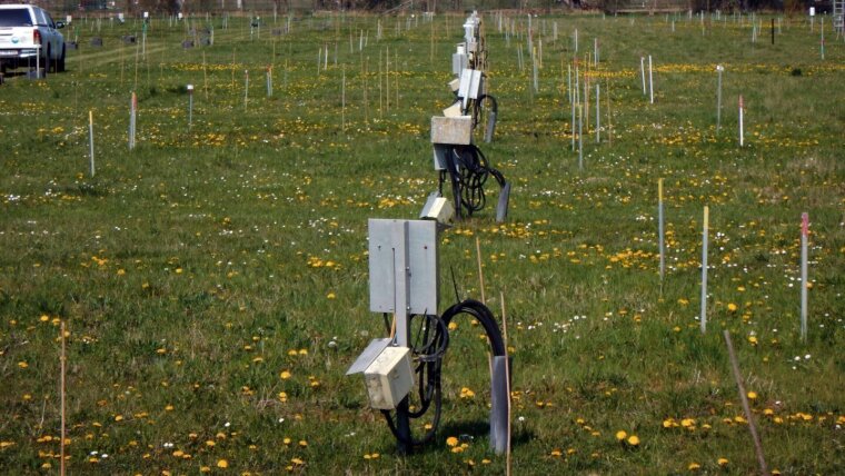 Kabeldatenloggerboxen zur Messung der Bodentemparatur am Versuchsstandort Jena.