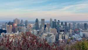 Aussicht auf die Skyline von Montréal vom Park Mont Royal