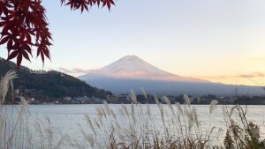 Mt Fuji in Kawaguchiko