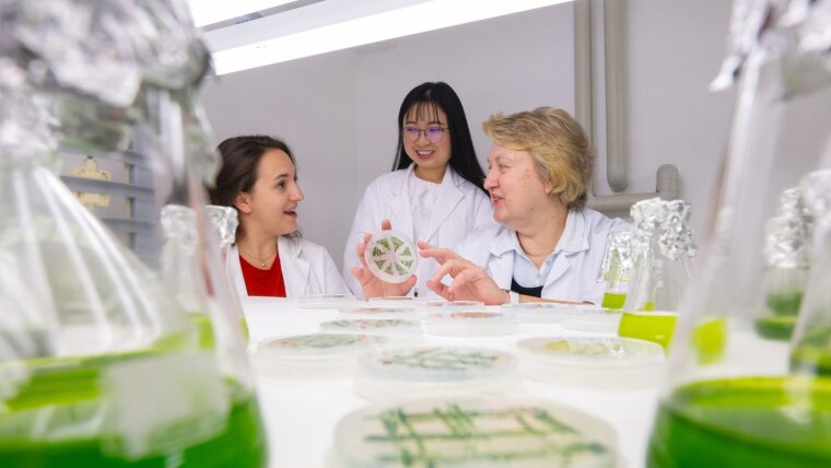 Drei Forscherinnen besprechen sich im Labor, auf der Arbeitsfläche befinden sich mehrere Petrischalen und Glaskolben mit Grünalgen.
