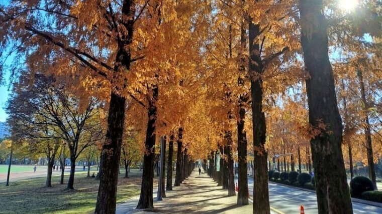 Campus im Herbst