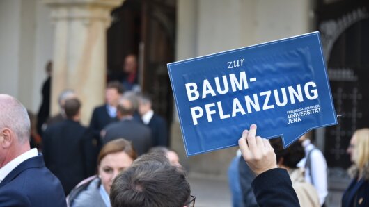 Schild "Baumpflanzung"