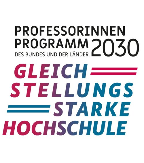 Logo des Professorinnenprogramms 2023 des Bundes und der Länder - Gleichstellungsstarke Hochschule