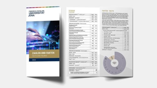 Illustration of the front page and of two sample pages of the facts and figures flyer 2023