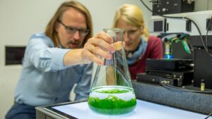 Constanze Schultz (right) from Leibniz IPHT and Dr. Thomas Wichard from the University of Jena use Raman spectroscopy to study the growth of the green alga Ulva.