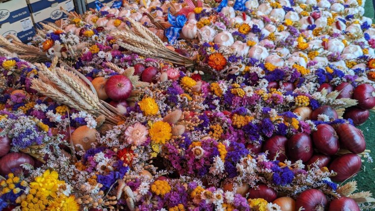 Bunte Zwiebelzöpfe zum Schmücken