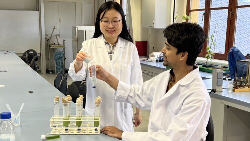 Dr Trang Vuong (l.) and Dr Prateek Shetty show the growth of the green alga in the spatially structured 3D environment in comparison to conventional cultivation conditions in the laboratory.