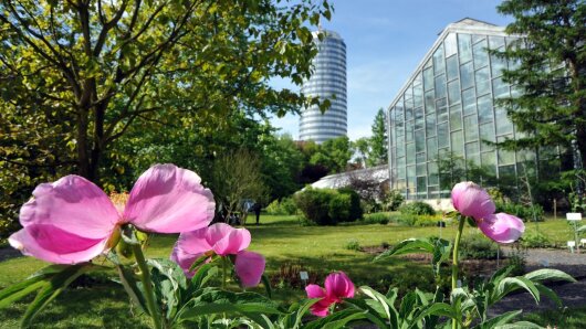 Botanischer Garten mit Blüten