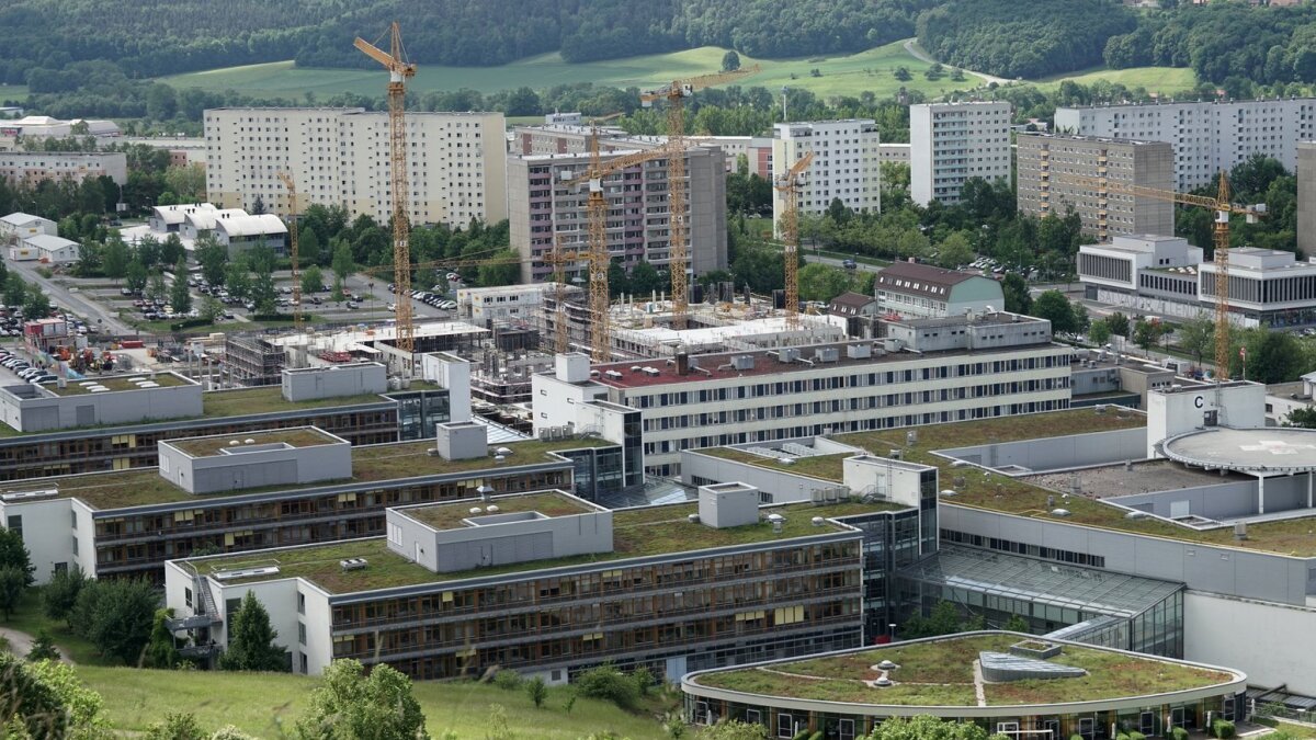 Faculty of Medicine