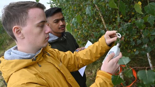 Studierende messen die Vitalität der Bäume auf einem ehemaligen Bergbaugebiet.