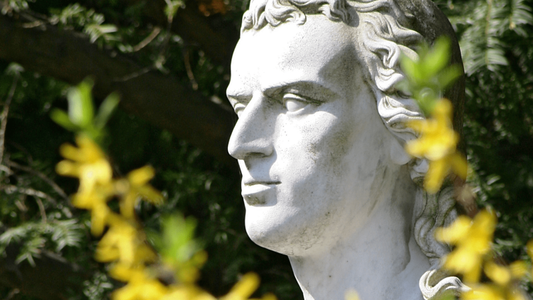 Bust of Friedrich Schiller in fromt of yellow flowers