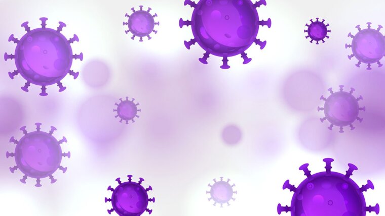 Illustration of the corona virus