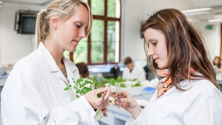 Female students take plant samples