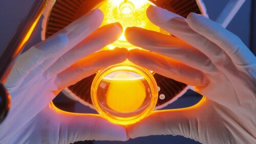 Petrischale mit Krebszellen wird mit einer speziellen Lichtquelle bestrahlt
